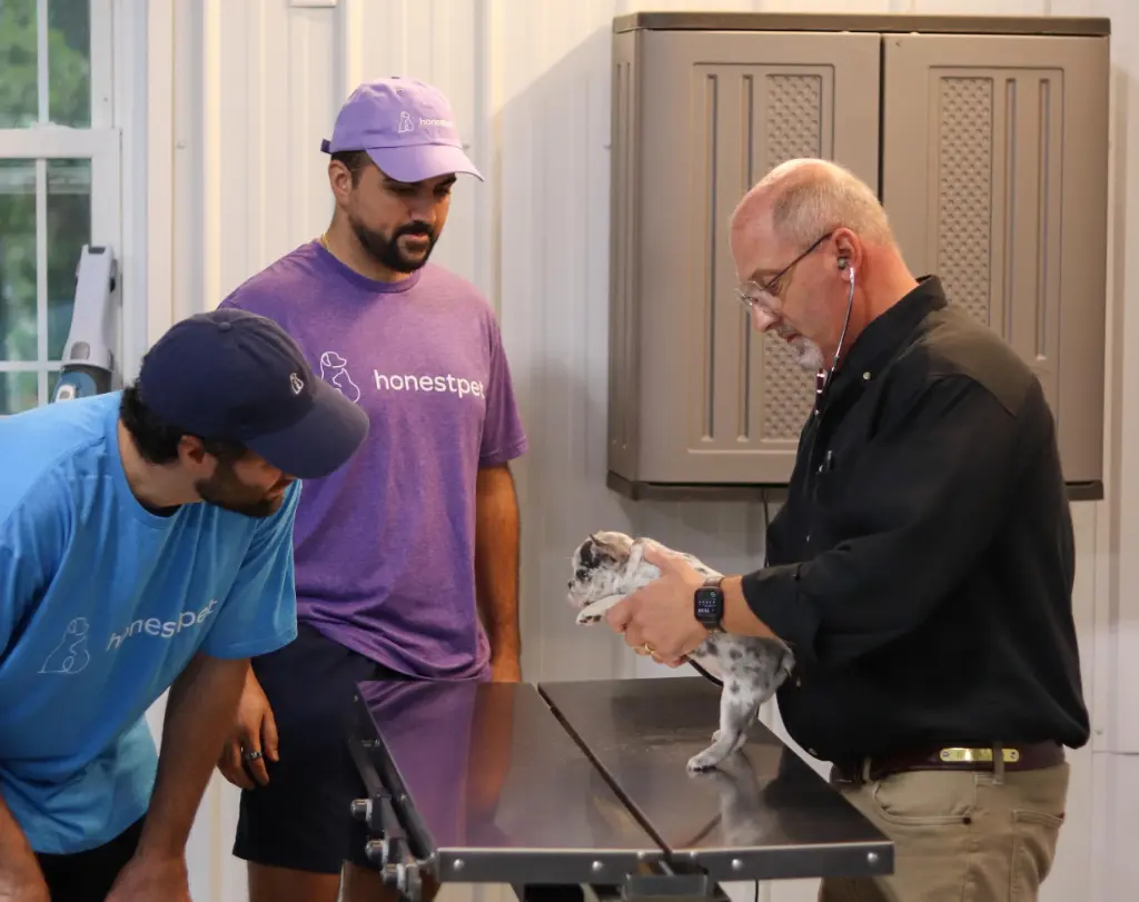 HonestPet team with veterinarian examining puppy